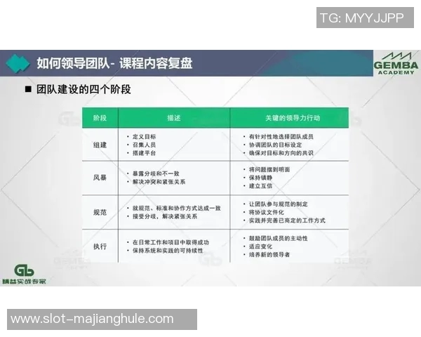 数据分析团队协作效果评估与优化策略探讨